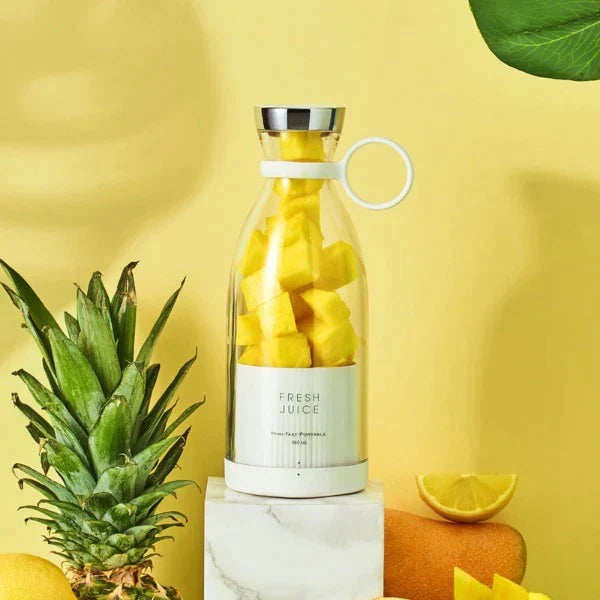 Portable juicer blender